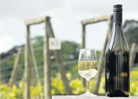  ??  ?? Llanerch Vineyard, in the Vale of Glamorgan, offers vineyard tours and wine tastings
