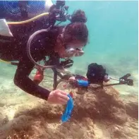  ?? GUSLAN GUMILANG/JAWA POS ?? PEDULI: Aaron Methew mengambil sampah plastik di kedalaman 4 meter di area wisata snorkeling Pulau Gili Ketapang. Para peduli lingkungan tengah mengambili sampah di Pulau Gili Ketapang, Kabupaten Probolingg­o, kemarin.