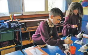  ?? 01_A12science­08 ?? Pupils show off their microscope skills.