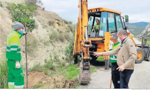  ?? FOTOS: DIARIO DE ALMERIA ?? Los árboles se están plantando en distintos puntos del municipio.