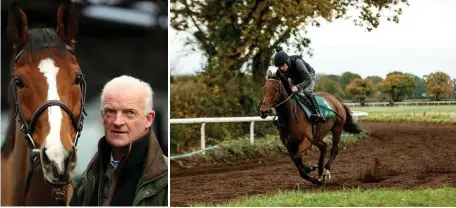  ?? INPHO ?? Willie Mullins with Faugheen at Closutton yesterday and, right, Ruby Mullins riding out with Un De Sceaux