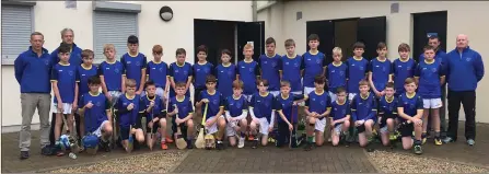  ??  ?? Some of the young hurlers and mentors who attended the under-13 and under-14 trials in Ballinakil­l last weekend.