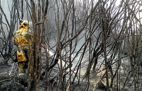  ??  ?? Taranaki DOC Ranger Nathan Jones & TRFA Principal Fire Officer Nigel Dravitzki in Tasmania where they have been fighting bush fires.