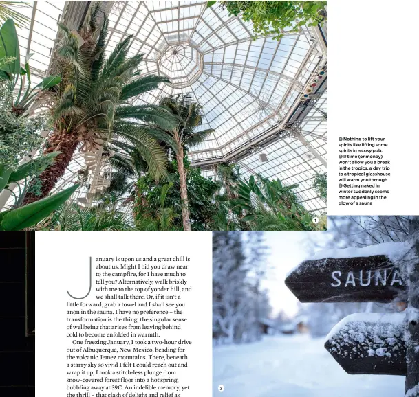  ??  ?? 2 1Nothing to lift your 1 spirits like lifting some spirits in a cosy pub. 2 If time (or money) won’t allow you a break in the tropics, a day trip to a tropical glasshouse will warm you through. 3 Getting naked in winter suddenly seems more appealing in the glow of a sauna