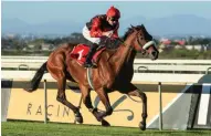  ?? PHOTO WAYNE MARKS ?? Vodacom Durban July favourite African Night Sky made light work of rivals when winning the Grade 3 Cup Trial. /