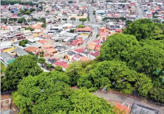  ?? GERARDO MENOSCAL Y CHRISTIAN VÁSCONEZ / EXPRESO ?? Parque. Varios árboles nativos están dentro de los lotes privados. Estos son áreas verdes del bosque.