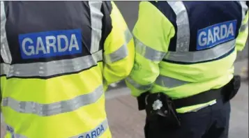  ??  ?? A Garda report found that 3,500 young people got away with committing almost 8,000 crimes over a seven-year period.