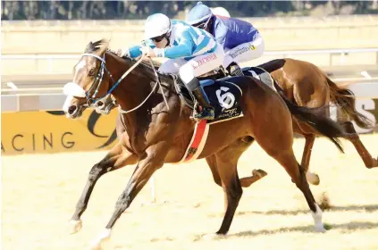  ??  ?? EXACTA HOPE. The Azzies will be hoping Full Mast (pictured) and Greek Fire will come home 1-2 in Race 3 at the Vaal tomorrow.