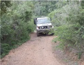  ??  ?? The hunting vehicle makes its way through the thick East Cape bush.