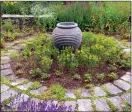  ?? Barbara Damrosch/The Washington Post ?? Mexican mint marigolds surround an urn in the author's herb garden. For those who struggle to grow tarragon, the herb makes a good stand-in.