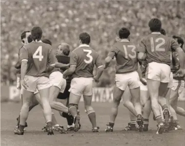  ??  ?? Gerry McEntee and Niall Cahalane during a flashpoint in the 1988 All-Ireland final replay which resulted in the