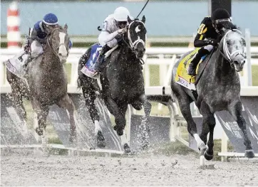  ?? AL DIAZ adiaz@miamiheral­d.com ?? Jockey Joel Rosario guides Knicks Go down the stretch for a 2 Invitation­al on Saturday at Gulfstream Park in Hallandale Beach.
length victory in the $3 million Pegasus World Cup