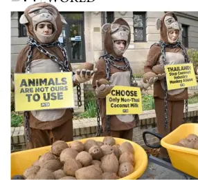  ?? MANDEL NGAN/AGENCE FRANCE-PRESSE ?? PEOPLE for the Ethical Treatment of Animals activists dressed in monkey suits protest outside of the Embassy of Thailand in Washington, DC over the treatment of primates in the Thai coconut industry.