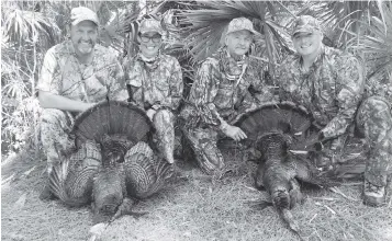  ?? STEVE WATERS For the Miami Herald ?? Robert ‘RC’ Callaway, left, helped Ingrid Bon bag her first wild turkey, while ‘Alligator Ron’ Bergeron called in a nice gobbler for Todd Polk after they moved stealthily through the woods for three hours.