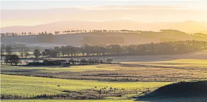  ?? Picture: iStockphot­o. ?? The union plans involve a financial stability payment for “actively-farmed hectares” with an assumed budget of £200 per hectare.