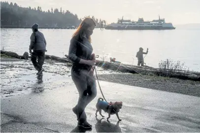  ?? Photos by Jovelle Tamayo, © The New York Times Co. ?? Jessica McCabe walks with her service dog-in-training, Chloe, in Seattle in December. ADHD was once thought of as a childhood diagnosis but McCabe, the creator of the YouTube channel, “How To ADHD,” uses her videos to speak to adults.