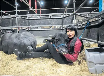  ?? GERMÁN GARCÍA ADRASTI ?? Criadora. María Nilda Silva, con su dos búfalas: Milagros y Máxima, ayer en La Rural.