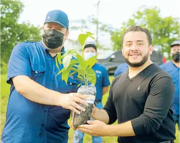  ?? ?? Reforestar. Representa­ntes de Alas Doradas donaron 30 mil árboles al MOP para reforestar diferentes proyectos.