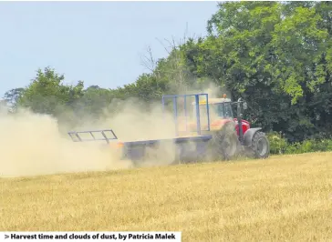  ??  ?? > Harvest time and clouds of dust, by Patricia Malek