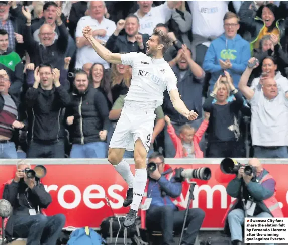  ??  ?? > Swansea City fans share the elation felt by Fernando Llorente after the winning goal against Everton