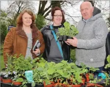  ??  ?? Yvonne Murphy chatting to Connie Philpott of Tunnel Vision, and Marion Ward of the National Learning Network Mallow, at the Artisan Food and Craft Fair at Mallow Castle on Easter Sunday last.