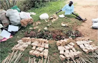  ?? SAVERS NETWORK-KENYA | SEED ?? A recent seed distributi­on in Baringo county in western Kenya early this year.