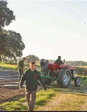  ??  ?? 1
1 y 2. Las labores se suceden a diario. 3. En el interior se producen eventos, degustacio­nes y visitas de clientes. 4. Todos los cultivos son orgánicos y de temporada. 5. El paisaje se funde con las plantacion­es.