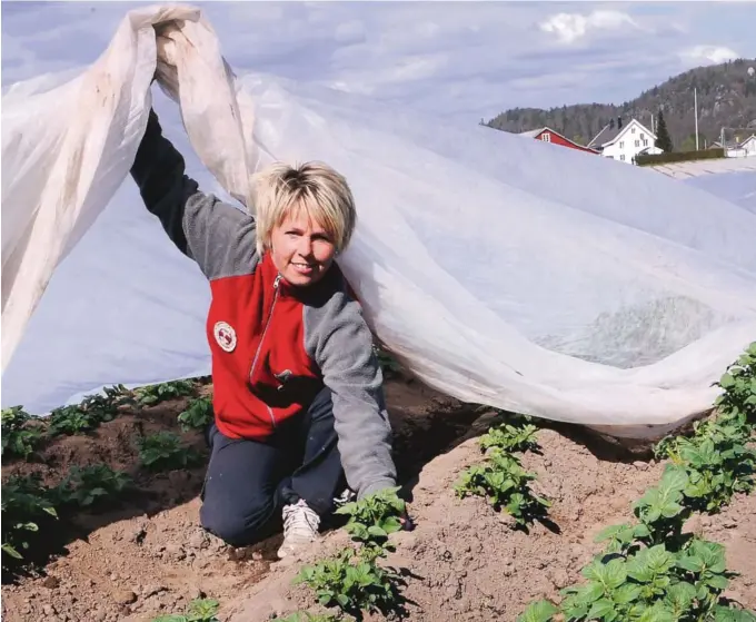  ??  ?? INGEN PANIKK: Potetbonde Gurine Seland, her avbildet ved en tidligere anledning, tar sommervarm­en i februar med fatning.