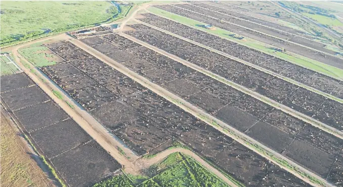  ??  ?? Desde arriba. Una vista aérea de los corrales en el campo de Brito. El productor tiene 87.000 hectáreas, 20.000 son áreas protegidas, 42.000 ganaderas y 16.000 agrícolas.