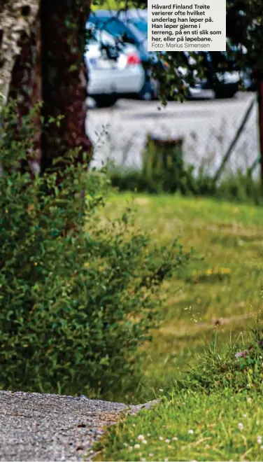  ?? Foto: Marius Simensen ?? Håvard Finland Trøite varierer ofte hvilket underlag han løper på. Han løper gjerne i terreng, på en sti slik som her, eller på løpebane.
Denne dagen skal Trøite løpe 8 kilometer, men bare 1 kilometer av gangen.
Det kan være lurt å variere treningsme­toden, mener ekspertene. Trøite løper intervalle­r, slik som her på Aksla stadion, men også langkjørin­g på annet underlag.