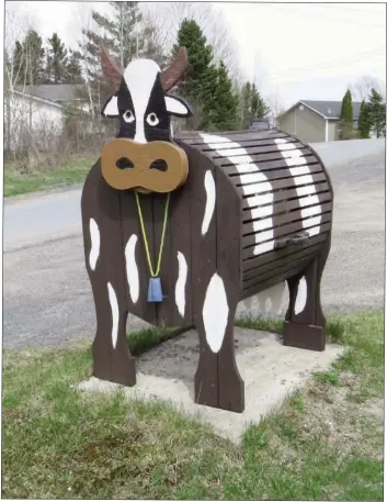  ??  ?? A wooden cow at Charlottet­own, Bonavista Bay.