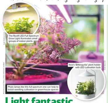  ??  ?? The Root!t LED Full Spectrum Grow Light illuminate­s small groups of indoor plants Phyto lamps like this full-spectrum one can help to boost seedling cultivatio­n in greenhouse spaces Ikea’s ‘Bittergurk­a’ plant holder with LED cultivatio­n bulb