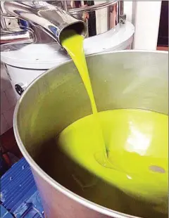  ?? NANCY HARMON JENKINS/THE WASHINGTON POST ?? At the olive mill, the olives grown at Pian d’Arcello, Nancy Harmon Jenkins’s family farm, are transforme­d into a dazzling jade-coloured oil.