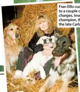  ??  ?? Fran Ellis cuddles up to a couple of her charges. Inset animal champion, the writer the late Carla Lane