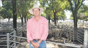  ??  ?? Geoff McCallum pictured at a recent sheep sale in Deniliquin.