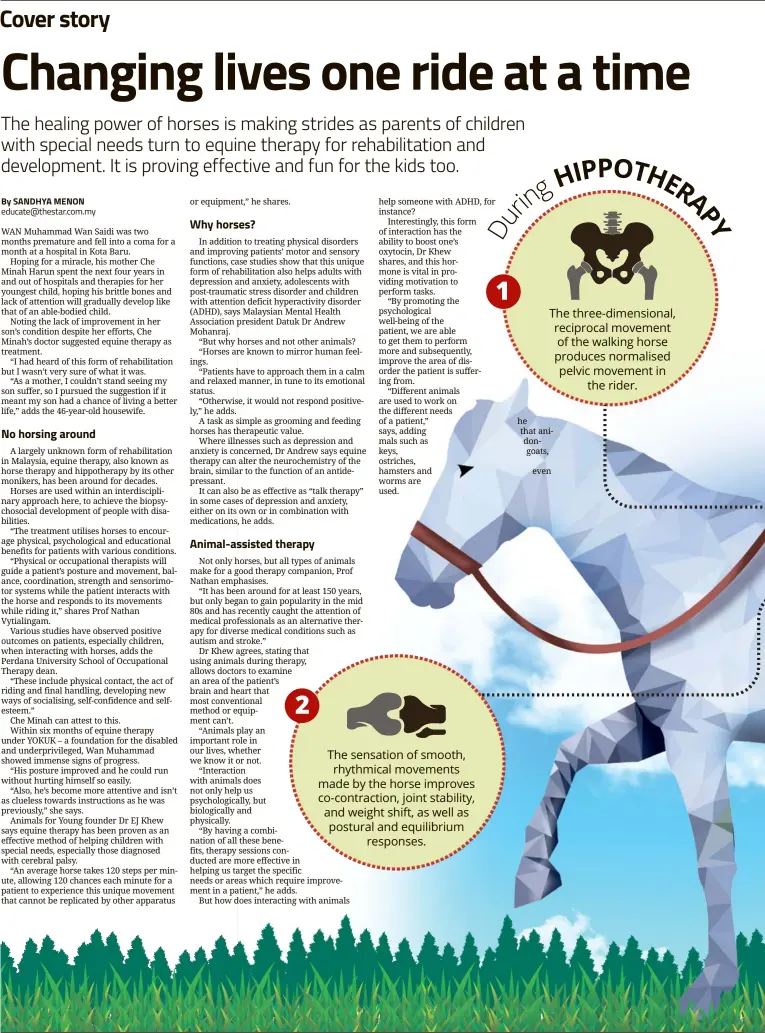  ??  ?? By SANDHYA MENON educate@thestar.com.my The sensation of smooth, rhythmical movements made by the horse improves co-contractio­n, joint stability, and weight shift, as well as postural and equilibriu­m responses.