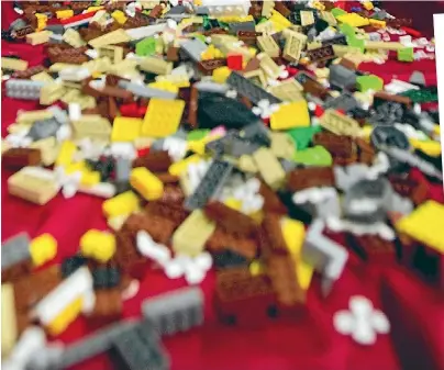  ?? JOHN KIRK-ANDERSON/STUFF ?? More than 2000 pieces of Lego littered Lynda Hallinan’s floor. She stood on four of them, and vacuumed them up out of spite.