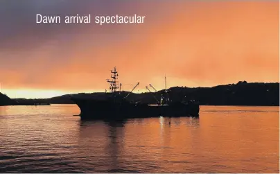  ?? PHOTO: STEPHEN JAQUIERY ?? Timarubase­d 788tonne fishing vessel Pacinui arrives alongside X/Y sheds on Dunedin’s Fryatt St wharf at sunrise yesterday.