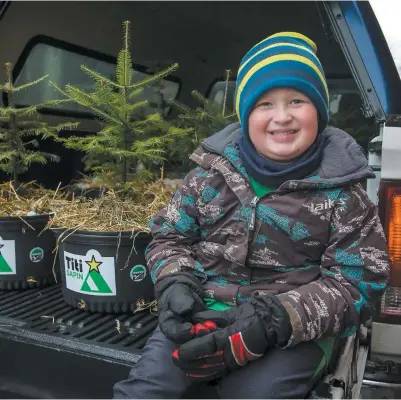  ?? PHOTO AGENCE QMI, JOEL LEMAY ?? Titi Sapin est le projet d’Étienne Éthier, qui permet d’adopter un petit sapin vivant pour les Fêtes.