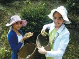  ?? PROVIDED TO CHINA DAILY ?? Kazakh sisters Usmanova Kamila Hasanovna (left) and Usmanova Nargiza Hasanovna pick tea leaves in Hanzhong, Shaanxi province. They said they are really interested in Chinese culture.