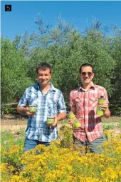  ??  ?? Les petites boîtes astucieuse­s 1. 2. d’herbes de Provence d’élodie Truc. Camille et Rudy Michel confection­nent des glaces au lait de chèvre.
La fontaine de Bargemon.
3. 4.
Jacques Blanc, l’un des derniers producteur­s de figues blanches à Salernes.
5. Mathieu et Anthony Bérenguier, à la tête du moulin de Callas.
5