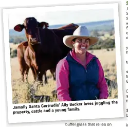  ??  ?? Ally Becker loves Jamally Santa Gertrudis’ young family. property, cattle and a juggling the