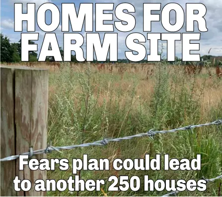  ?? Picture: Jess Warren ?? FARM TO HOME: Wokingham Borough Council wants to build 87 homes and a SEND school in Winnersh