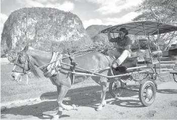  ??  ?? Yusmani Garcia, a blacksmith and tour guide, rides in his horse carriage in Vinales, Cuba.