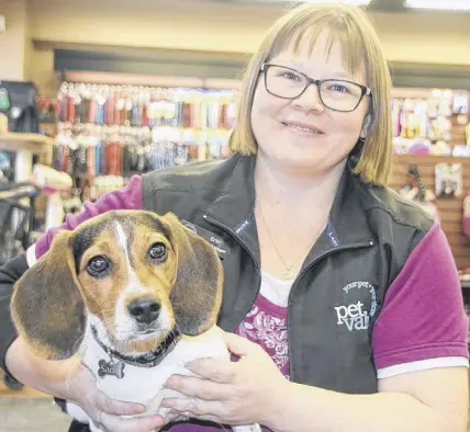  ?? LYNN CURWIN/TRURO NEWS ?? As manager of Truro Pet Valu, Erin Lynch has a lot of four-legged customers coming in to see her, including 17-week-old beagle pup Sadie. The store is helping animals who don’t have homes by raising money for Animal Rescue Coalition, in memory of Elsie Debay.