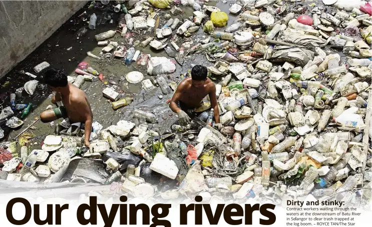  ?? – ROYCE TAN/T e Star ?? Dirty and stinky: Contract workers wading through the waters at the downstream of Batu River in Selangor to clear trash trapped at the log boom.