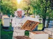  ?? ISTOCK ?? You can even outsource your beekeeping, and keep the honey afterwards.