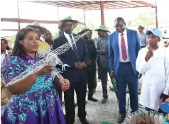  ?? ?? First Lady Dr Auxillia Mnangagwa admires an eagle artefact made by learners from recycled materials, at the national Clean Schools Competitio­n awards ceremony in Masvingo