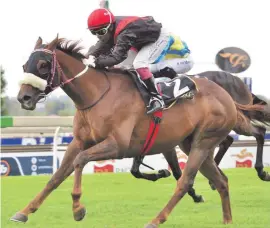  ?? Picture: JC Photograph­ics ?? MIXED FEELINGS. Coral Fever, winner of the R4-million Premier’s Champions Challenge, carries top weight in this year’s Vodacom Durban July at Greyville on 7 July, but has landed a decent No 4 draw for the R4.25million race.