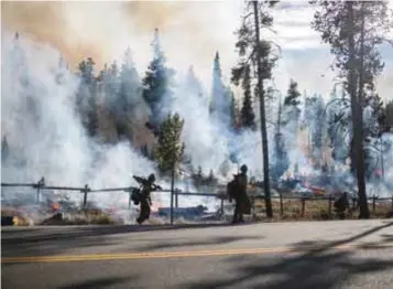  ?? | GETTY IMAGES ?? Expertos aseguran que el incremento en los incendios forestales se debe al cambio climático.